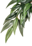 Exo Terra Jungle Plant Ruscus Silk Medium