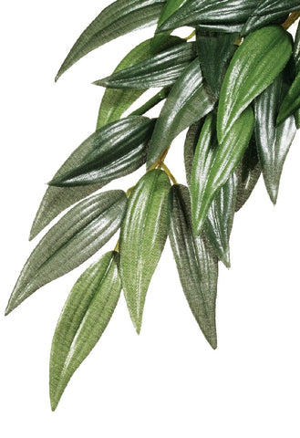 Exo Terra Jungle Plant Ruscus Silk Medium