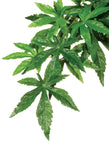 Exo Terra Jungle Plant Abutilon Silk Medium