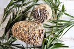 Forage Pinecone Parrot Large