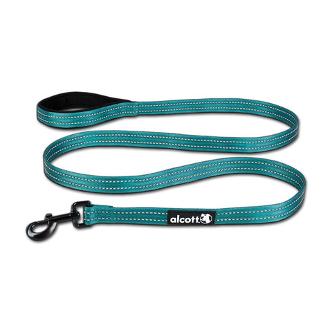 Alcott Adventure Nylon Leash Blue Large