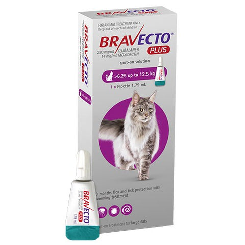 Bravecto Plus Cat Purple (6.25-12.5kg)