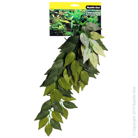 Reptile One Cascading Ivy Plant 40cm