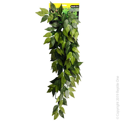 Reptile One Cascading Ivy Plant 72cm