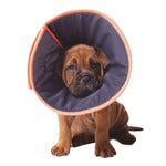 Comfy Vet Collar (XL)